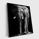 Realistic Elephant Painting On Canvas - Paint by Numbers