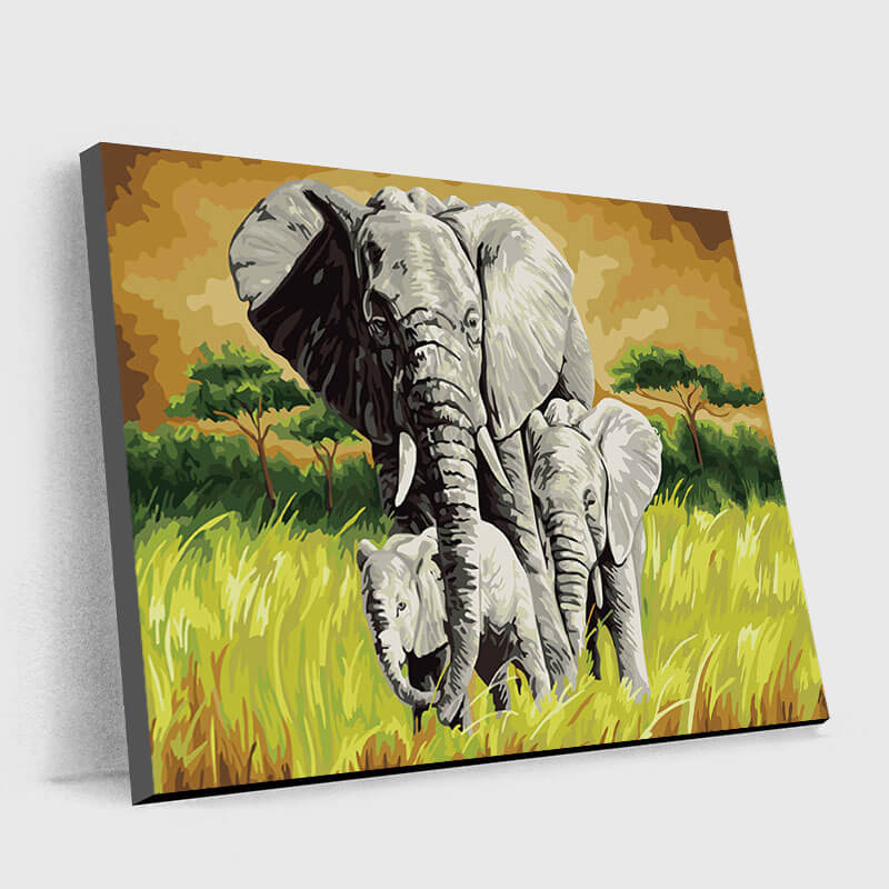 Serene Elephant Canvas - Paint by Numbers
