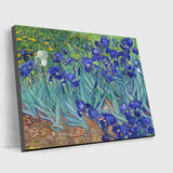 Van Gogh's Irises Painting - Paint by Numbers