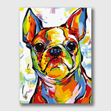 French Bulldog Painting - Paint by Numbers