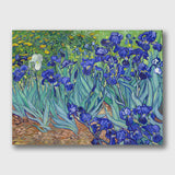 Irises 1889 by Van Gogh