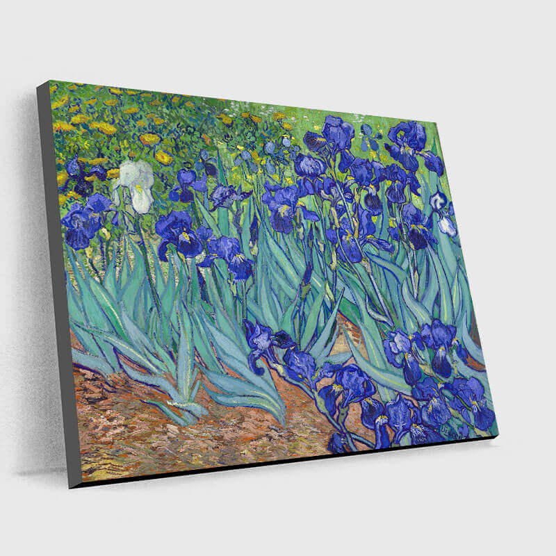 Irises 1889 by Van Gogh