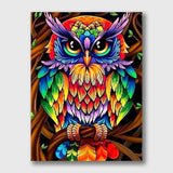 Rainbow Owl - Paint by Numbers