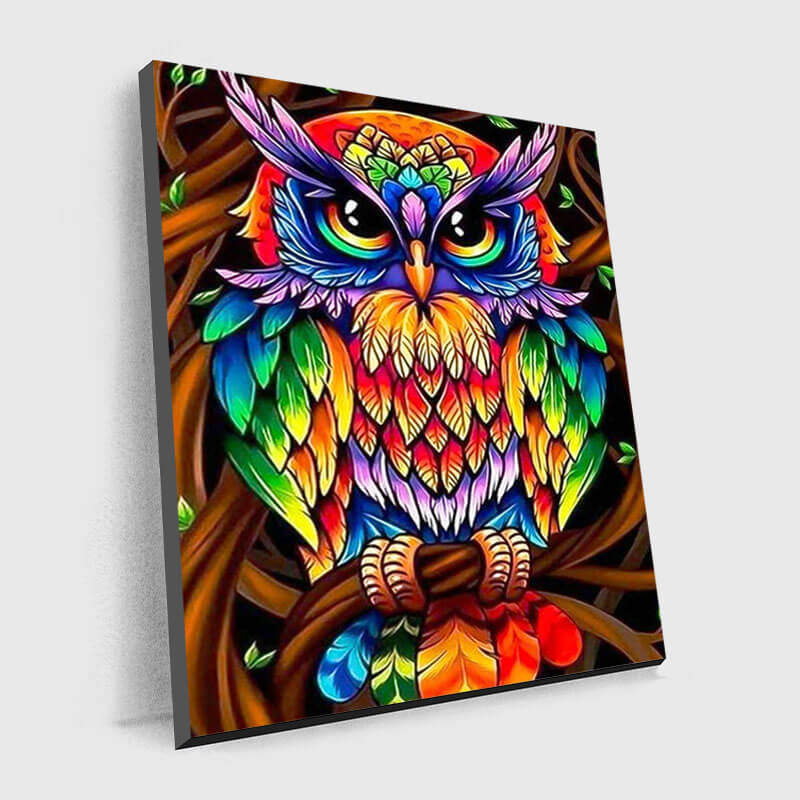 Rainbow Owl - Paint by Numbers